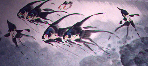 Fish 